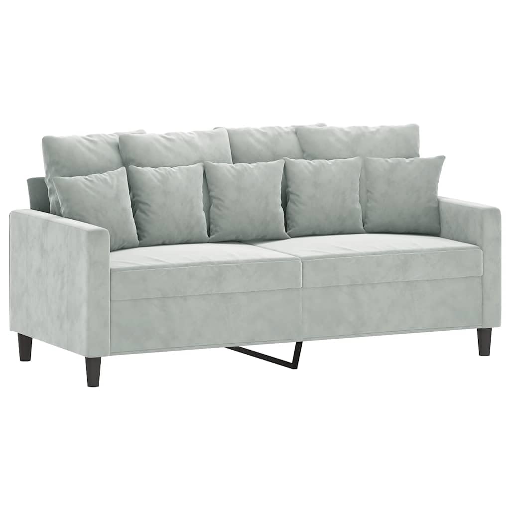 Light Gray Velvet 2-Seater Sofa N4574
