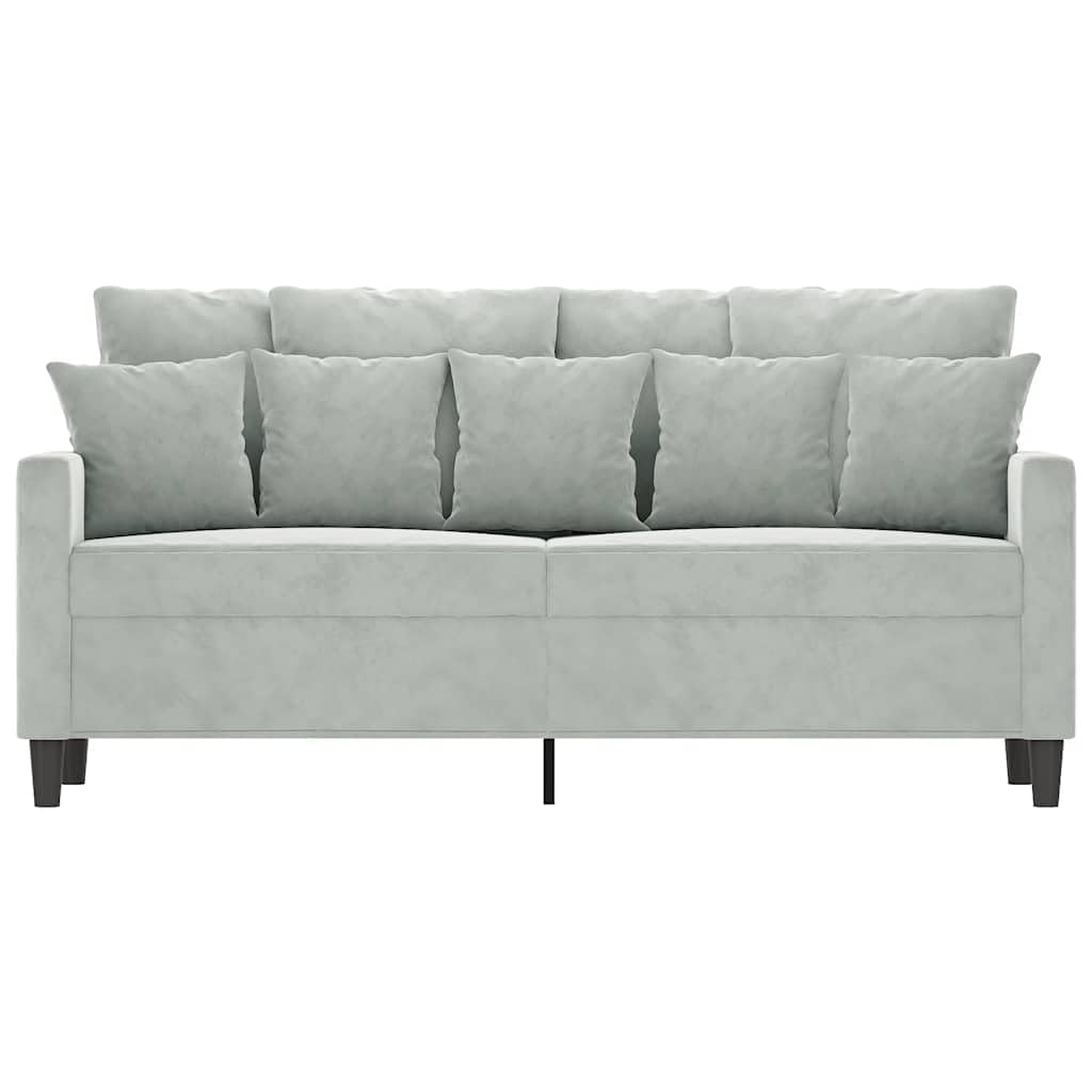 Light Gray Velvet 2-Seater Sofa N4574