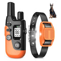 Dog Training Collar with Remote J47517