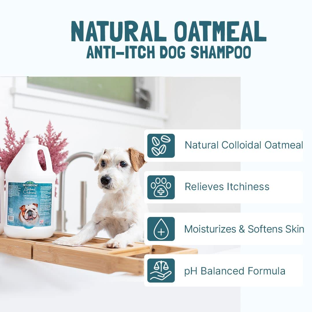 Oatmeal Dog Shampoo 1 Gallon A965