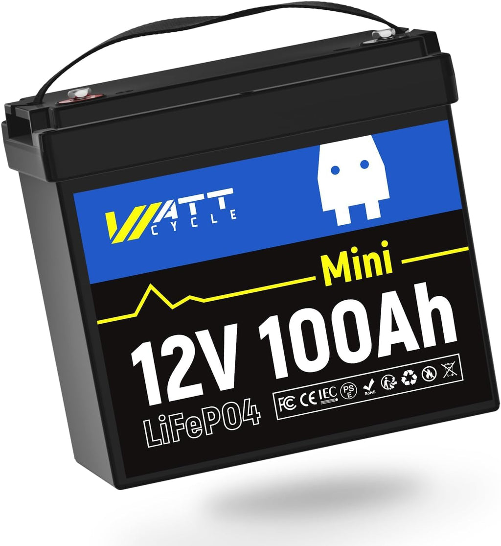 12V 100Ah Mini LiFePO4 Battery with 100A BMS Q279066