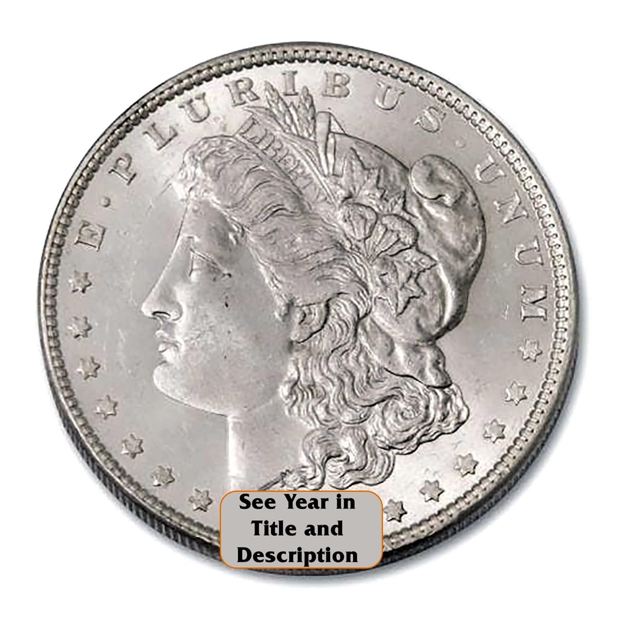 Morgan Silver Dollar S568