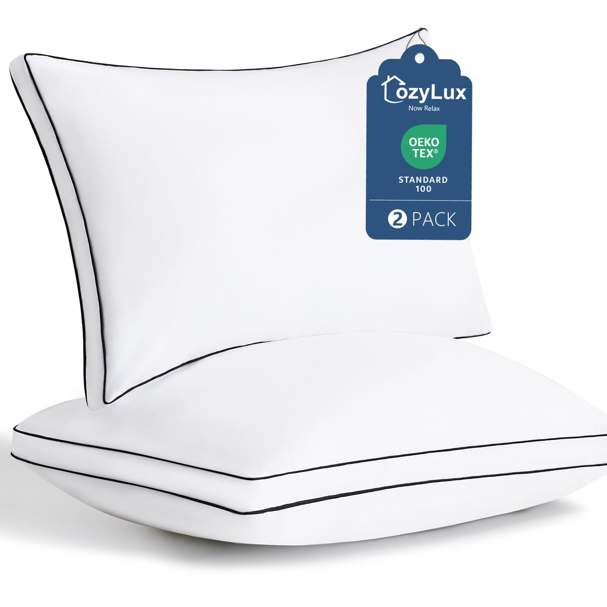 Queen Size Set of 2 Gusseted Bed Pillow O9791