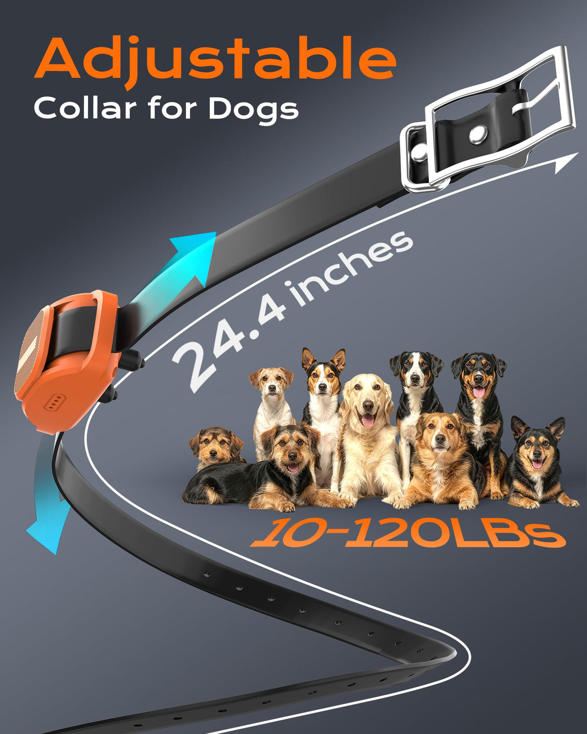 Dog Training Collar with Remote J47517