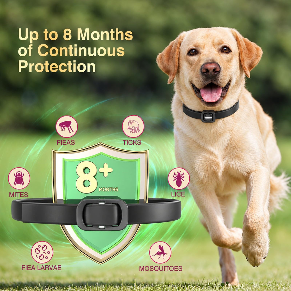 4 Pack Dog Flea Collar U364503