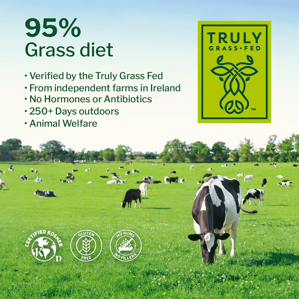 Chocolate Grass Fed Whey Protein Isolate Powder, 5 lb K986