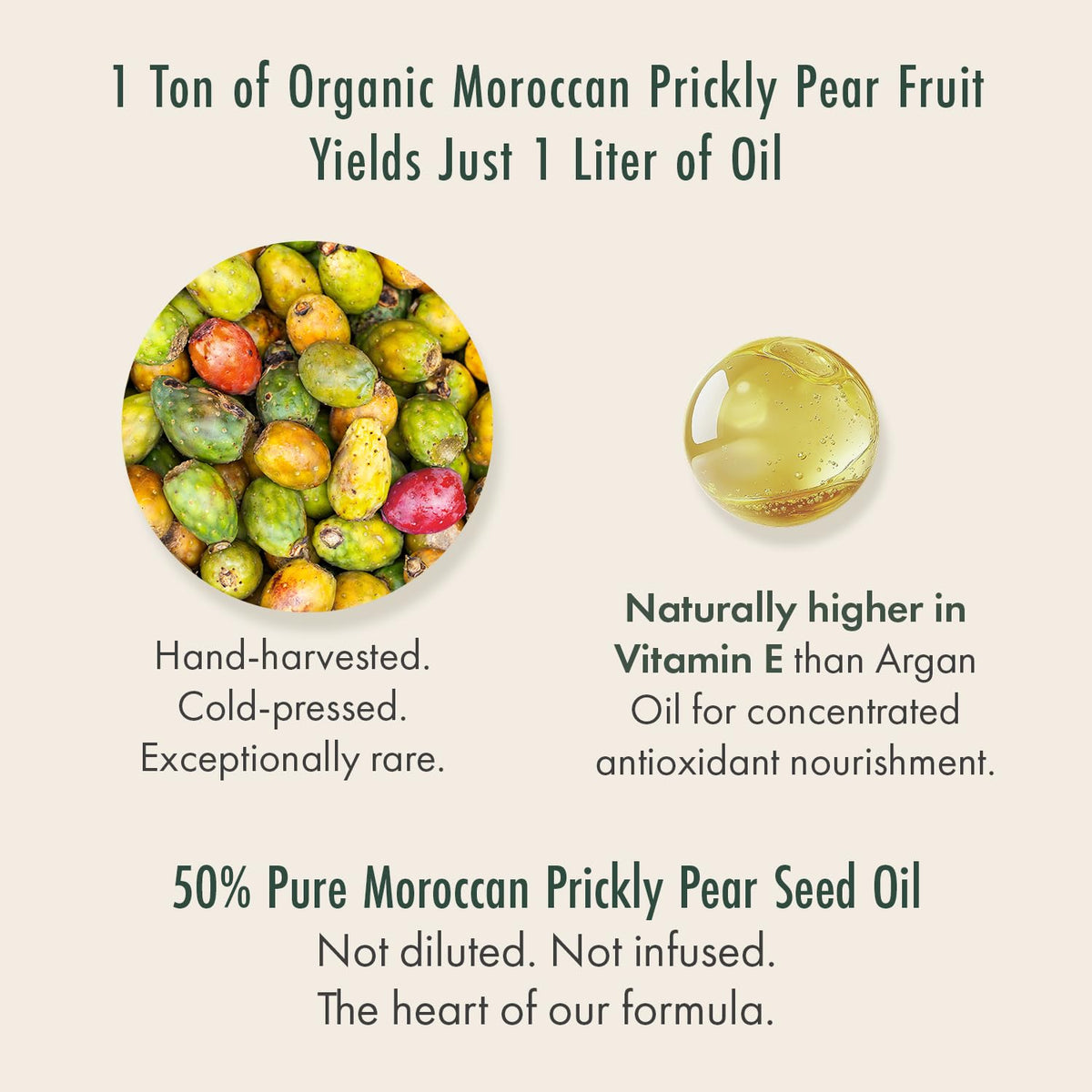 Organic Moroccan Prickly Pear Seed Oil & Camellia Face Oil 1oz L852