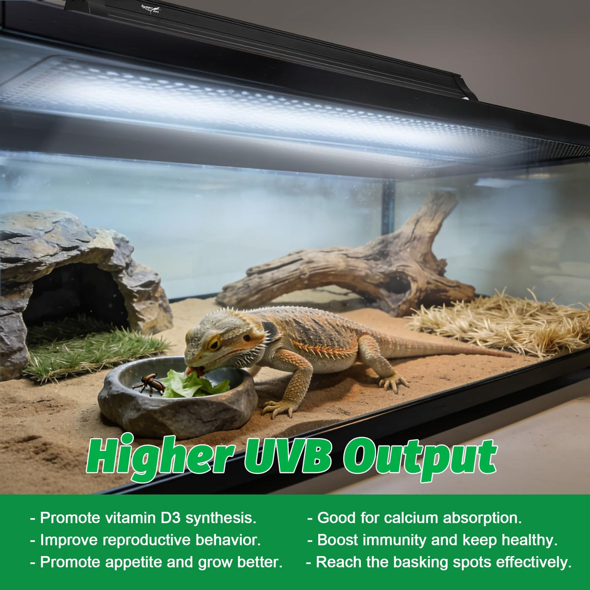 15W T8 UVB Reptile Light Fixture 18 Inch I89588