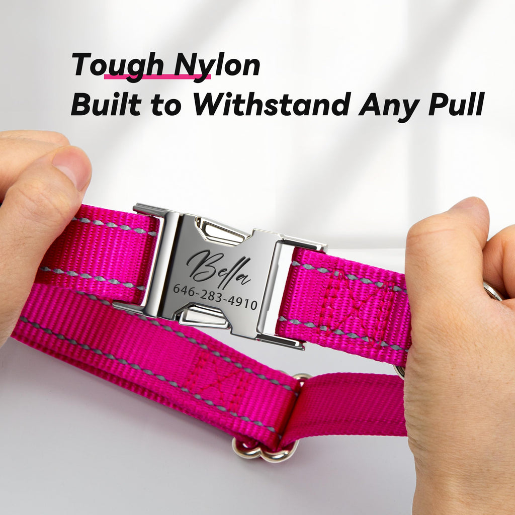 Reflective Dog Collar with Engraved ID Tag R2354
