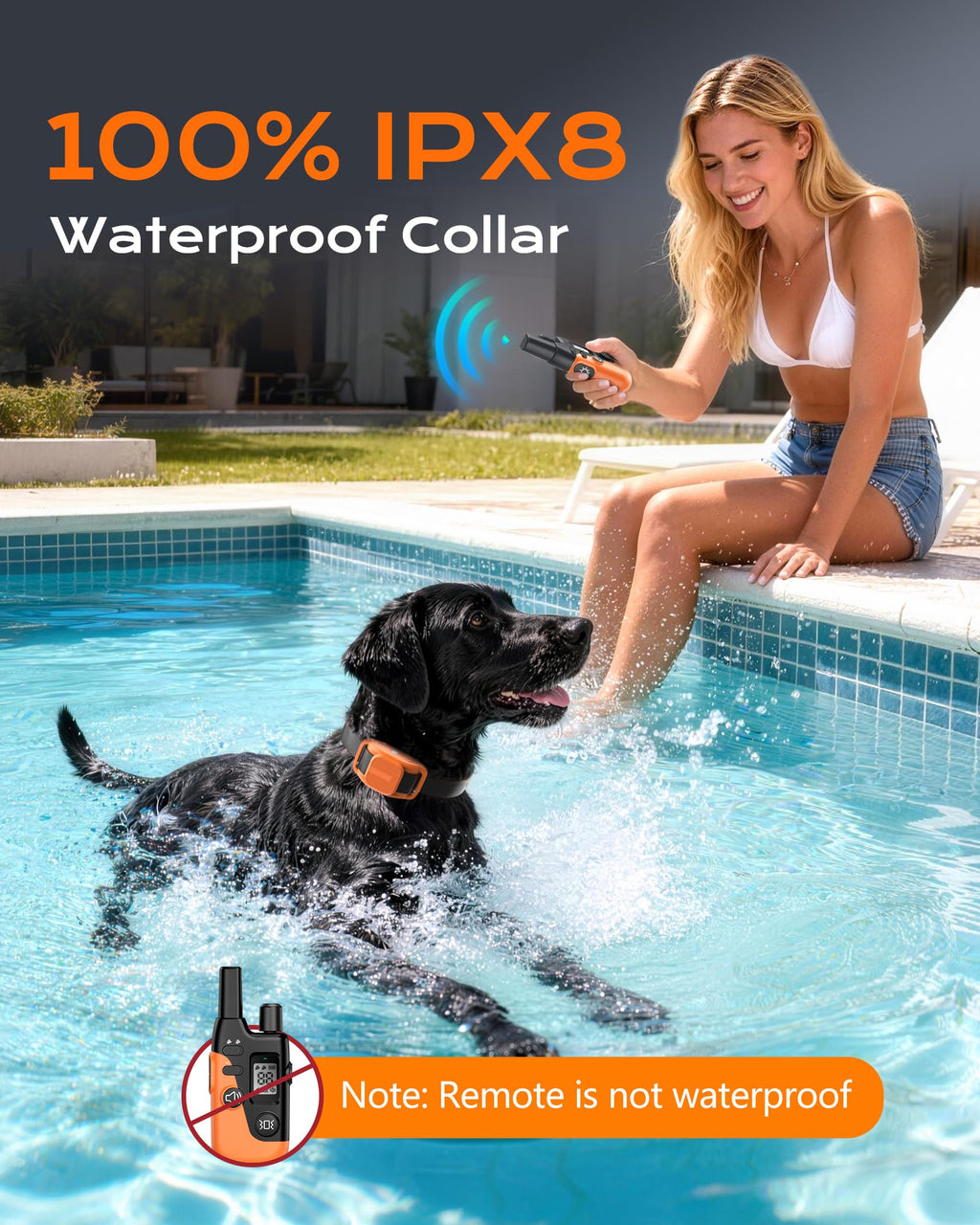 Dog Training Collar with Remote J47517