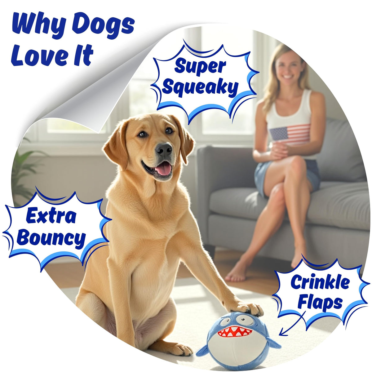 Tough Squeaky Chew Ball Dog Toy Q926