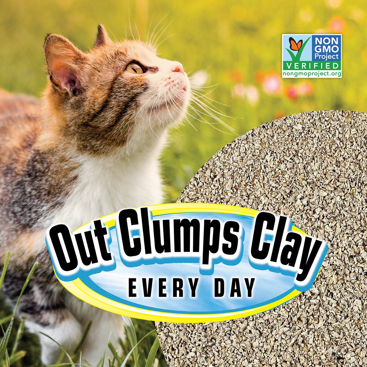 All Natural Clumping Cat Litter, 20 Pound, Unscented, Lightweight J281366