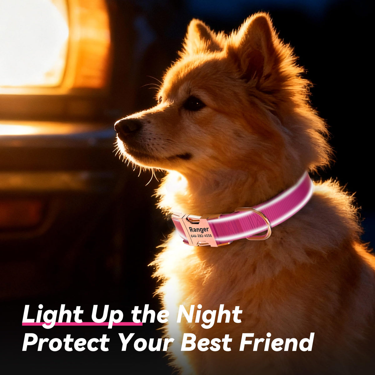 Reflective Dog Collar with Engraved ID Tag R2354