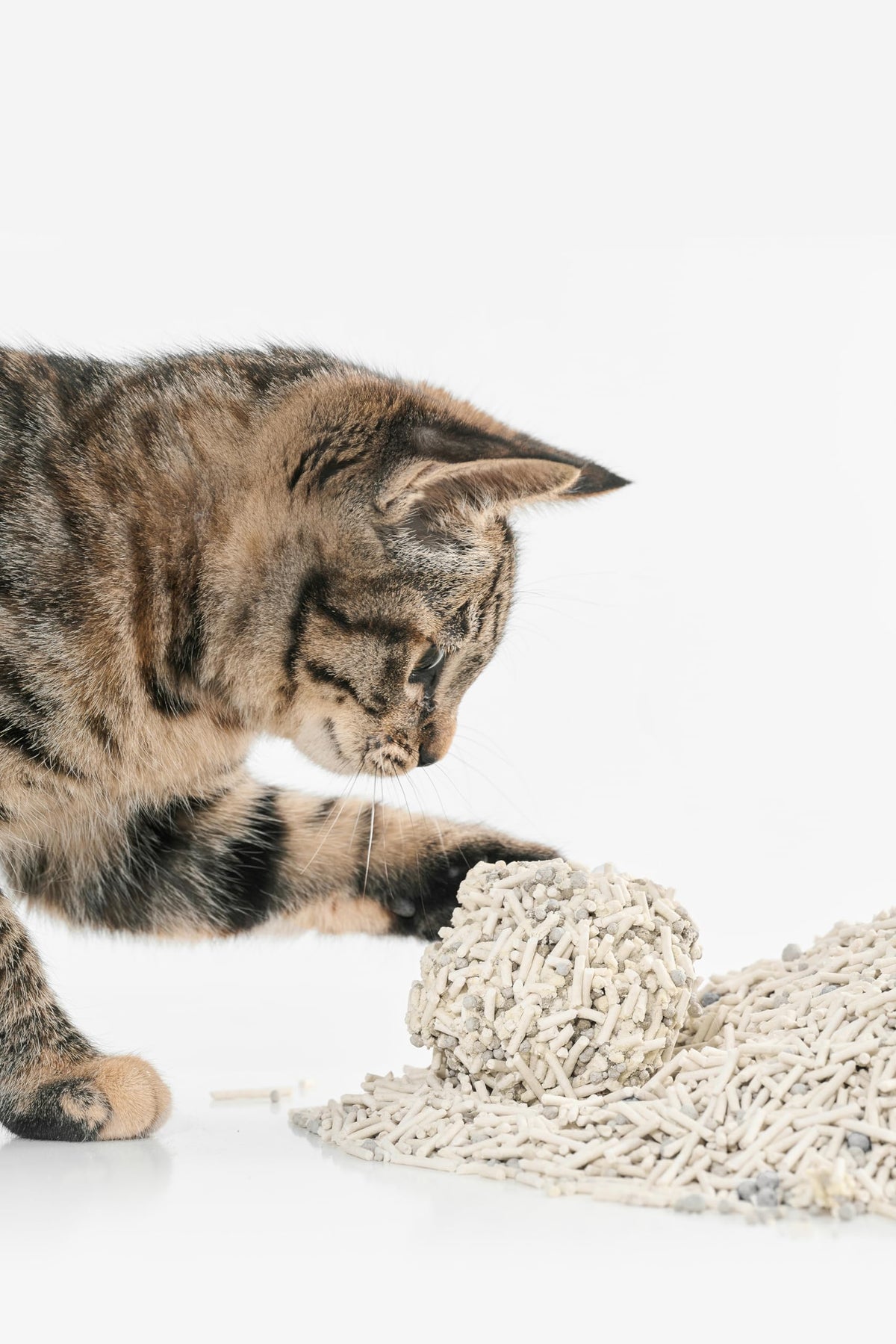 Tofu Cat Litter with Bentonite Clumping Plant Based 4Pack V9314