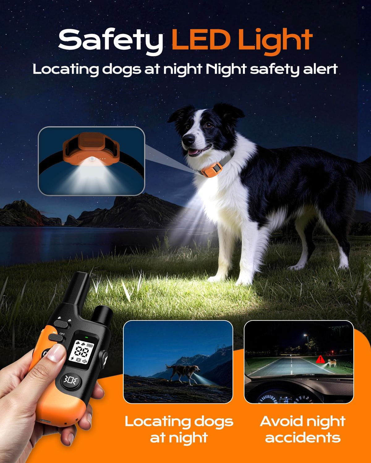 Dog Training Collar with Remote J47517