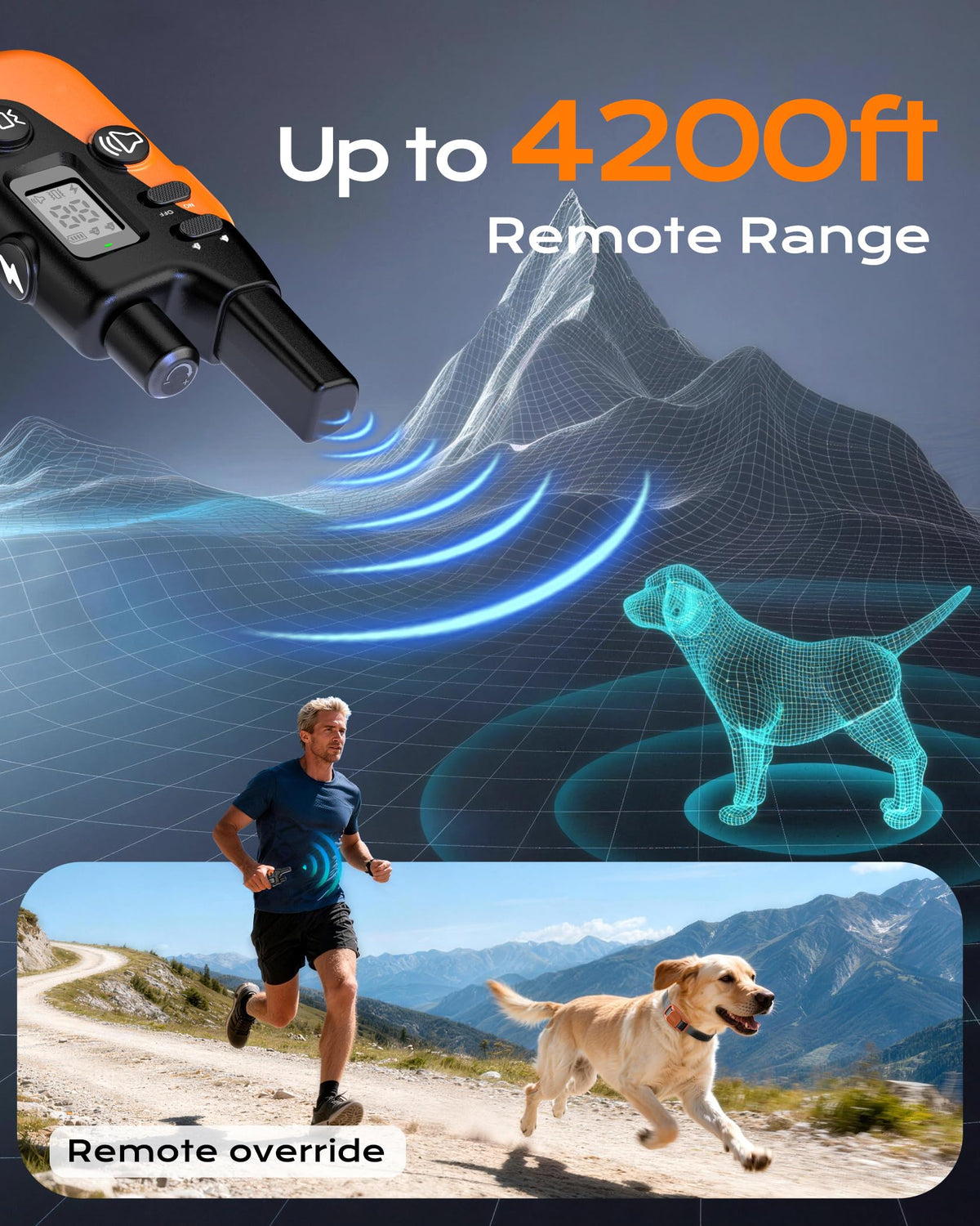 Dog Training Collar with Remote J47517