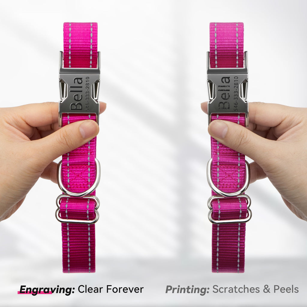 Reflective Dog Collar with Engraved ID Tag R2354