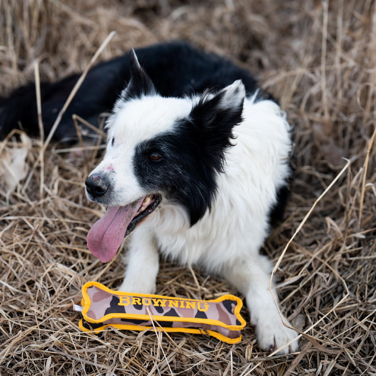Canvas Bone Toy K683330