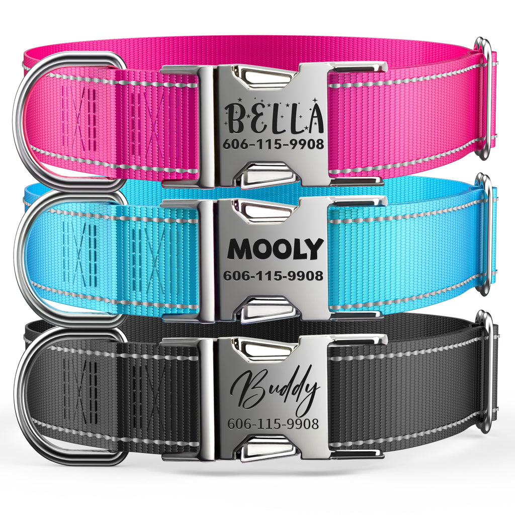 Reflective Dog Collar with Engraved ID Tag R2354