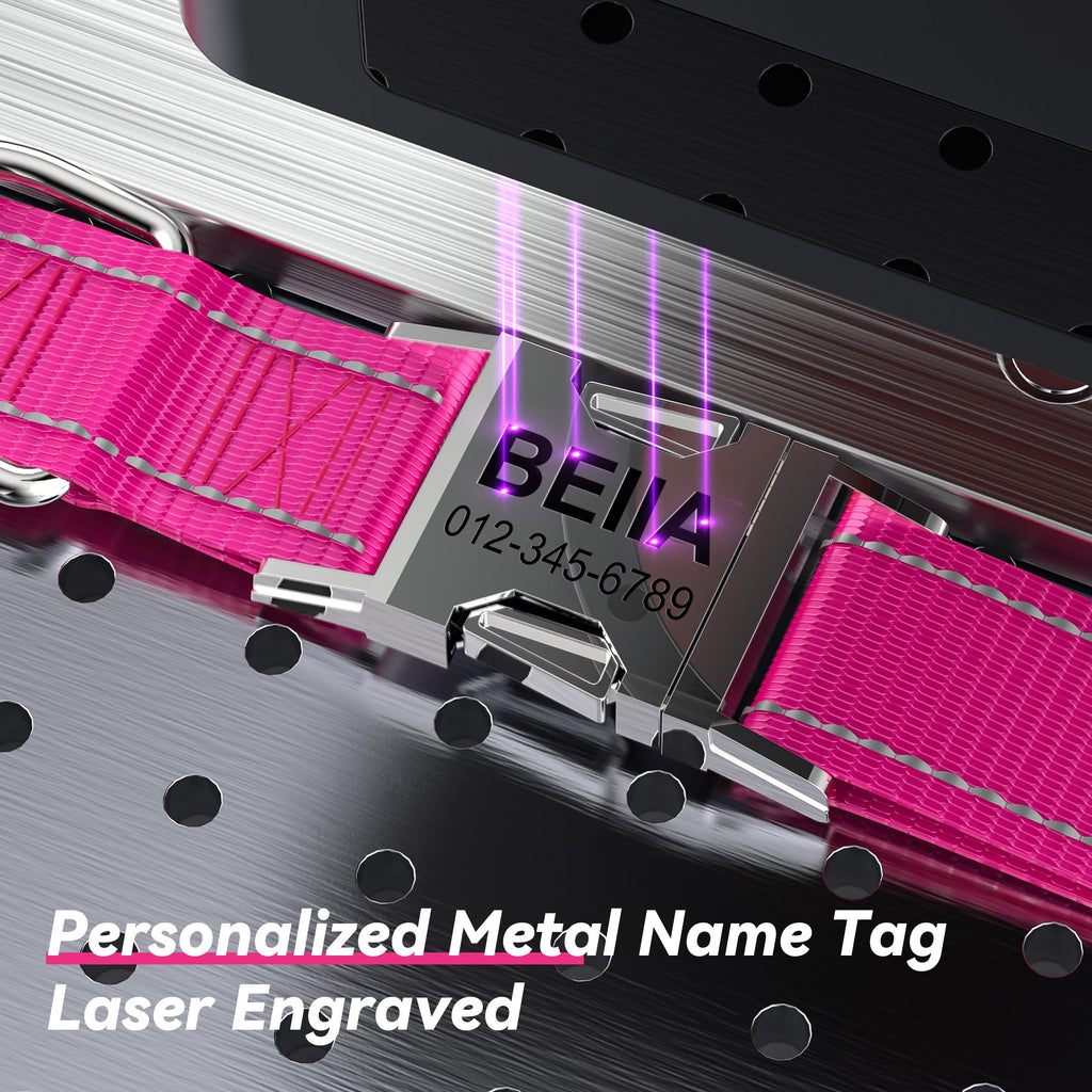 Reflective Dog Collar with Engraved ID Tag R2354