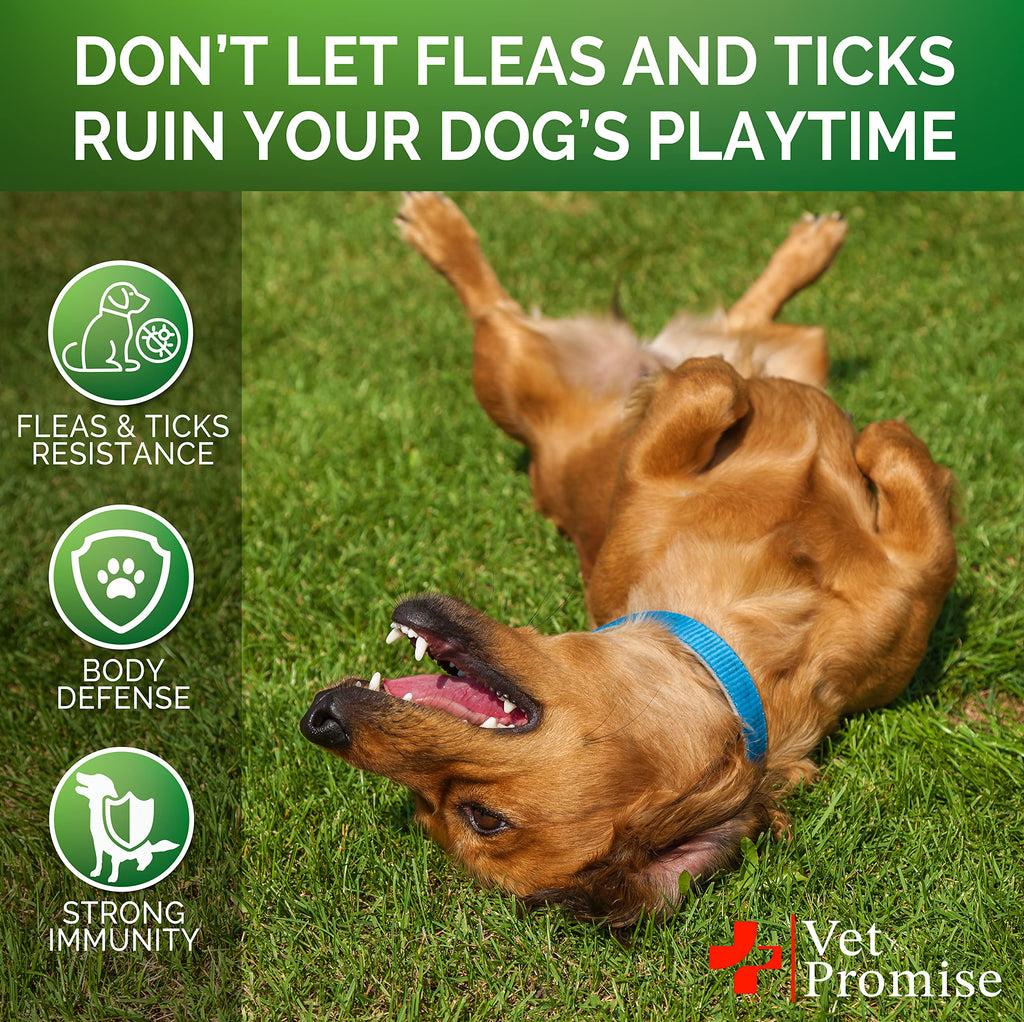 Flea and Tick Prevention for Dogs Chewables M379